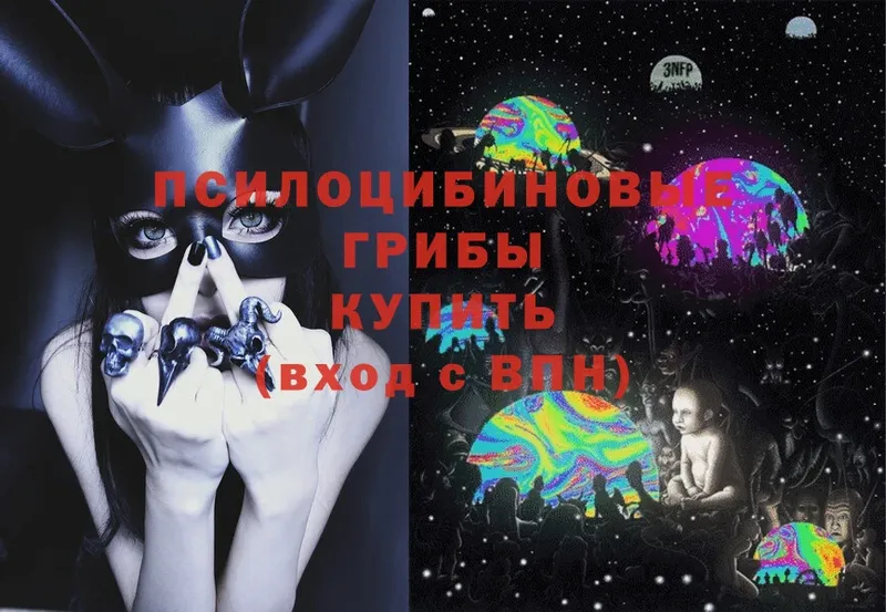 Галлюциногенные грибы Cubensis Мамоново